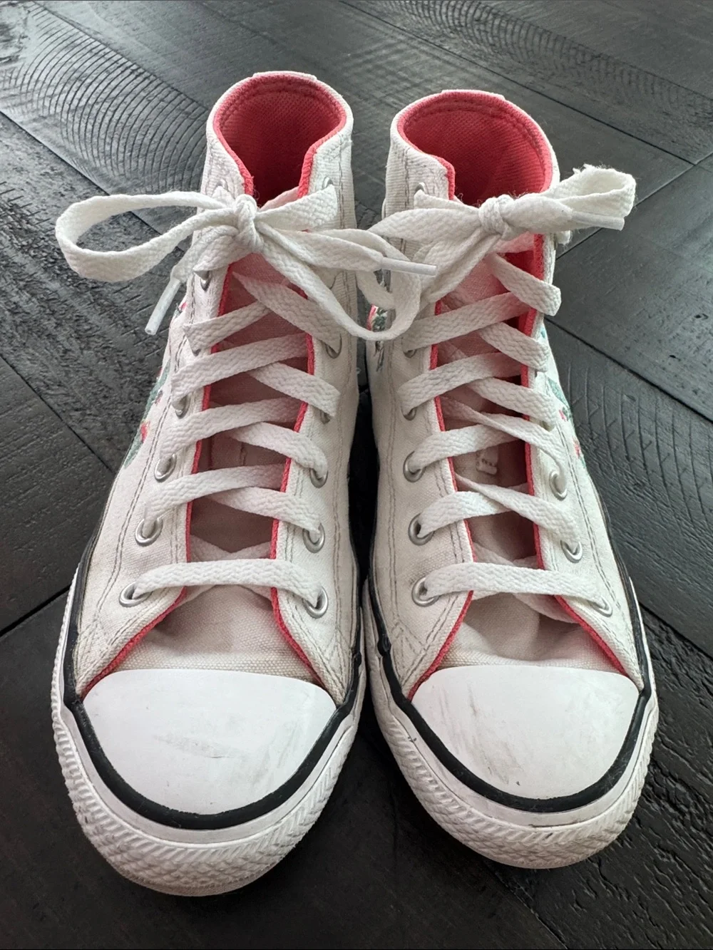 Converse Chuck Taylor All Star High Succulent Embroidery